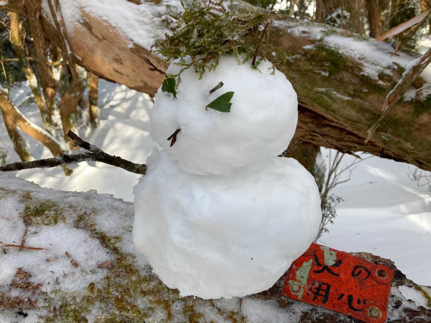 雪だるまリーゼントバージョン❗️火の用心ですが、グレてタバコを吸っている風😁