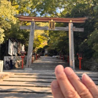 ここまで来たら
行くしかない…

とゆう事で
4回目行ってきまーす