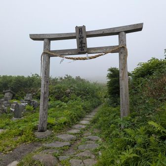 お世話になります