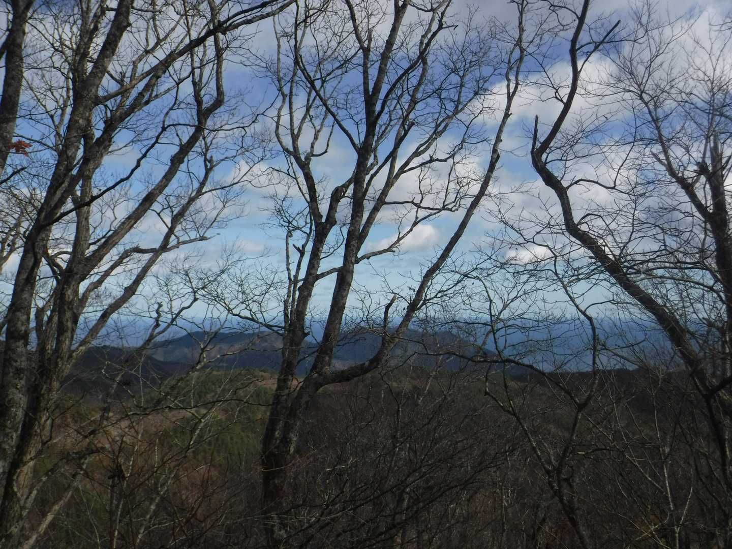 水平線👀