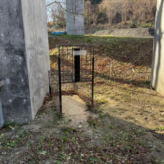 イノシシ用の罠