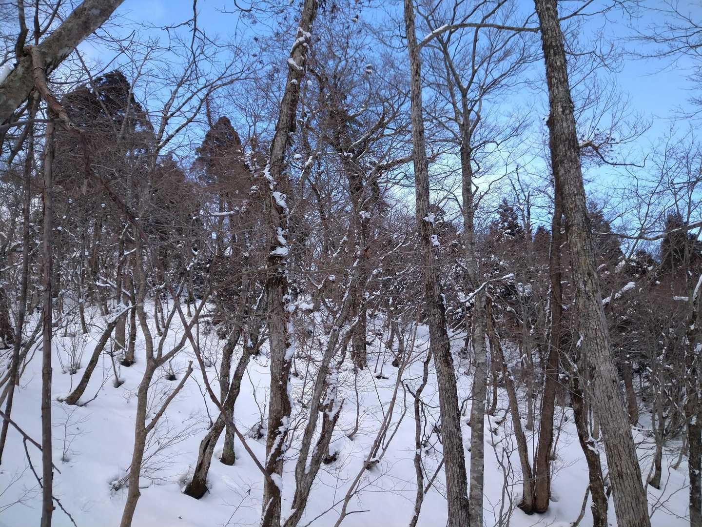 青空出てきた😊
