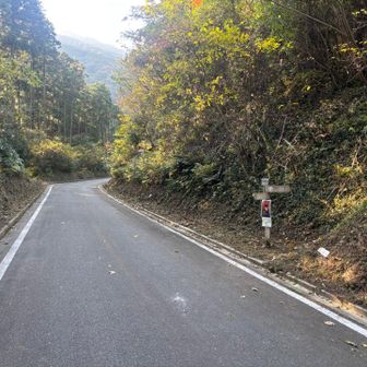 その先にまた登山道がありますが、今回はそのまま車道を進んで坊主ヶ滝へ。