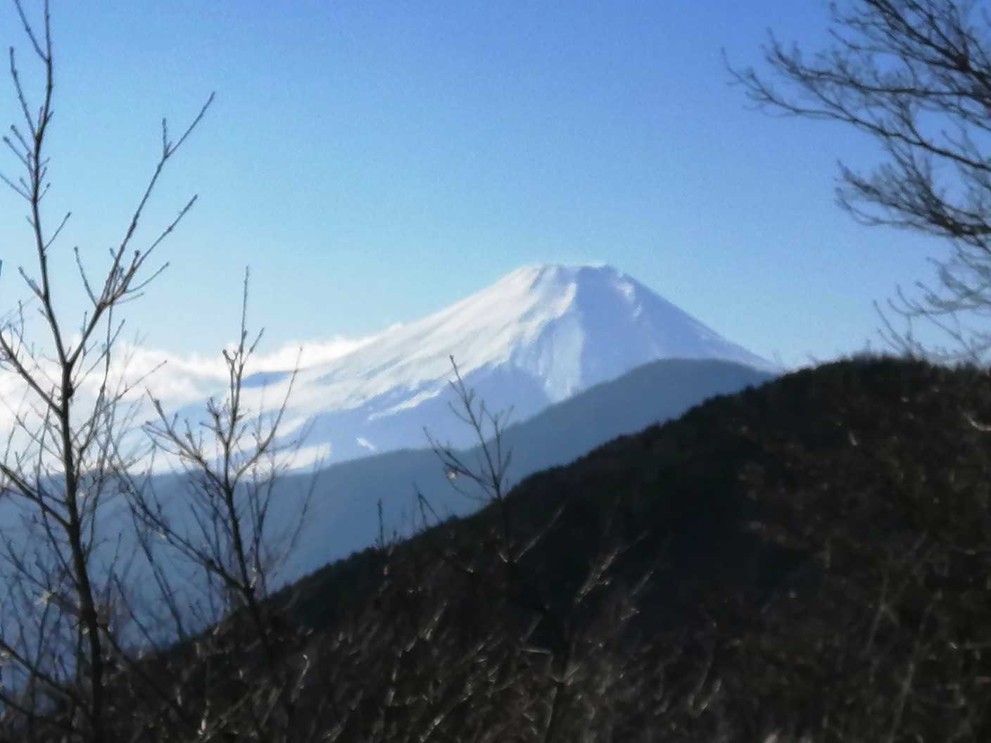 菜畑山の写真