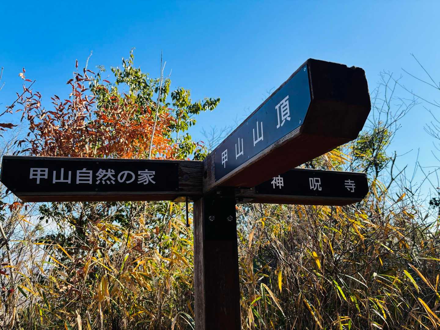 仁川駅-甲山-北山公園ハイキングコース入口-甲陽園駅 縦走コースの写真