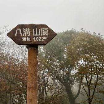 八溝山山頂
1,022m
子供の頃は茨城県に1000m峰があるのは知らず
筑波山が一番高い山だと思っていた😅
