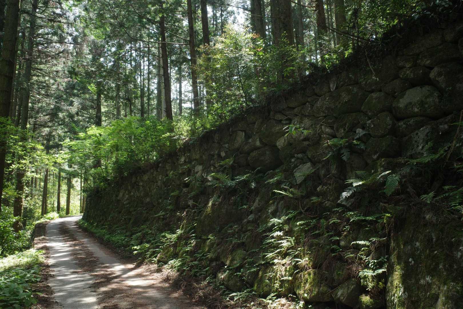 バスを乗り継ぎ椎葉バス停へ
そこから林道てくてく歩き登山口へ