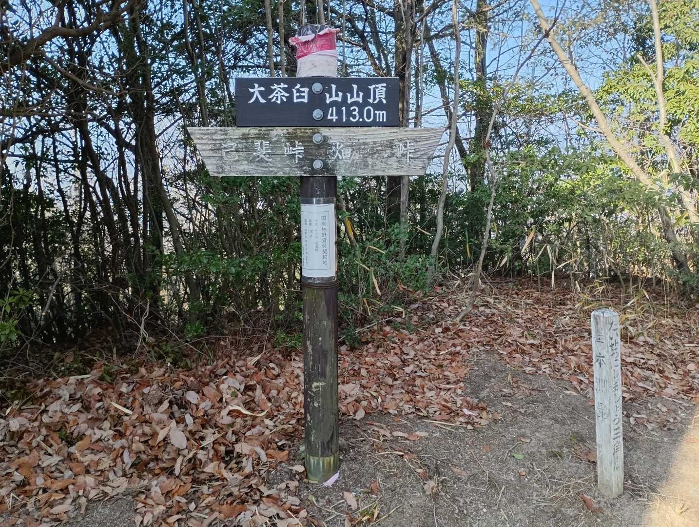 大茶臼山 往復コースの写真
