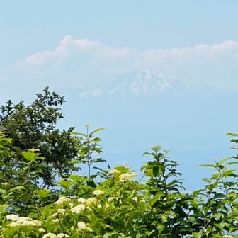 山頂から望む鳥海山✨