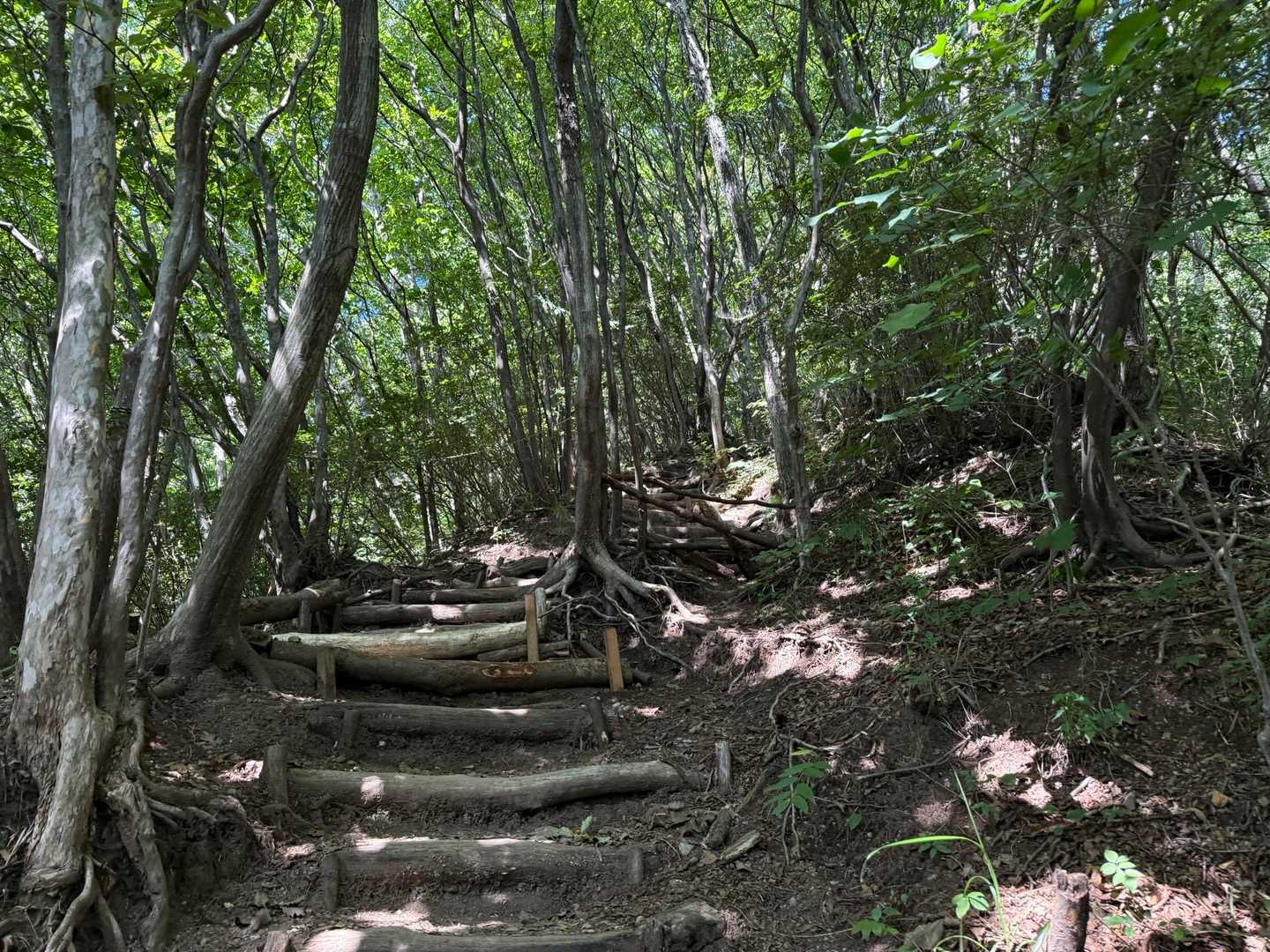 およそ3ヵ月振りの水沢山。
やはり鍛えられますね。