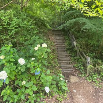 あとは毛呂駅へ。
最後の登り……。