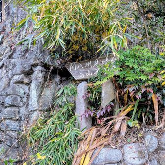 ここで左に曲がらないといけない。見落としてしばらく進んでしまいました。