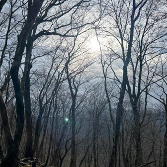 たまに出る陽が暖かい