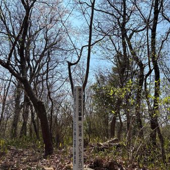 やよい道の標識できてる！