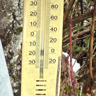 5℃くらいなのか？