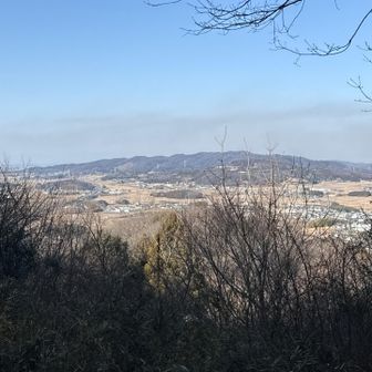 『地球防衛軍 特別混成艦隊』

ではなく、先回登った大政山⛰️