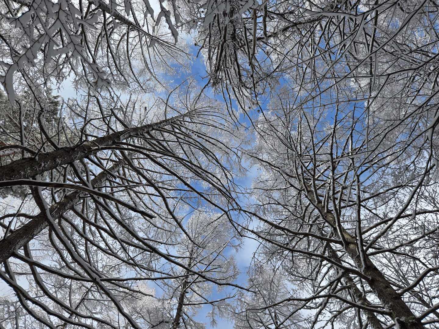 ❄