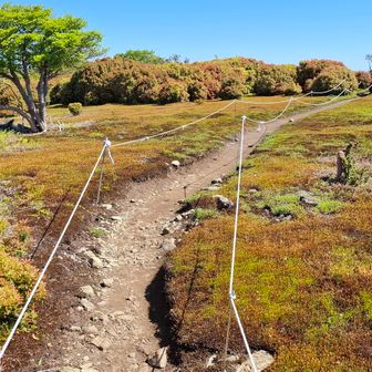 イブネ山頂へは、コースロープが設置してあって親切。周りの苔植物への配慮もあると思います。
