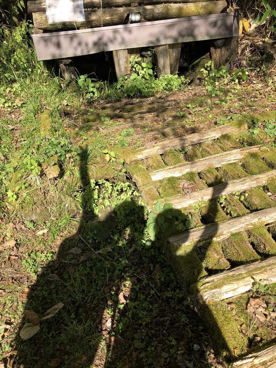 出発前にエイ、エイ、オー