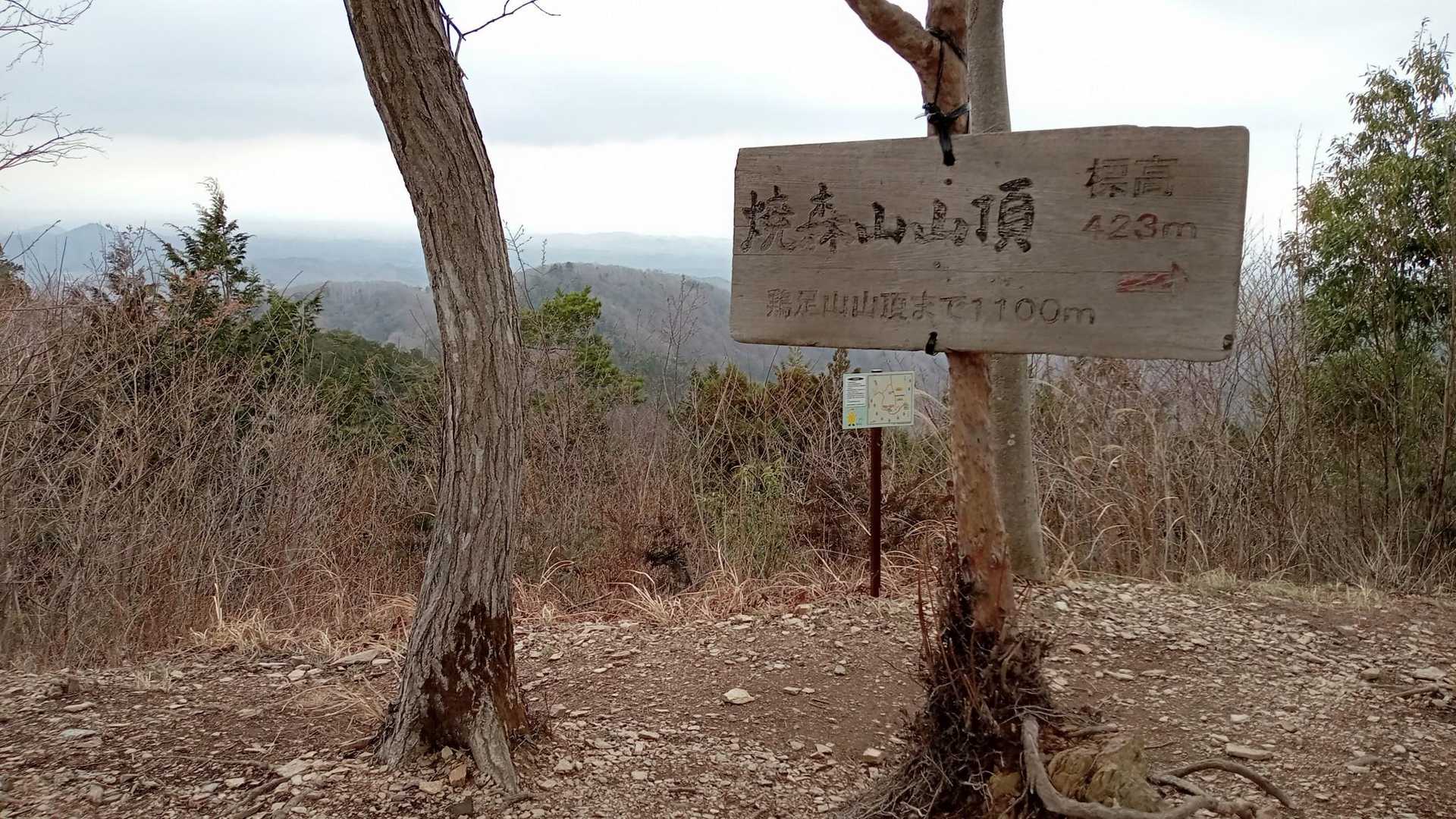 この時間☁焼森山は曇り空でしたが