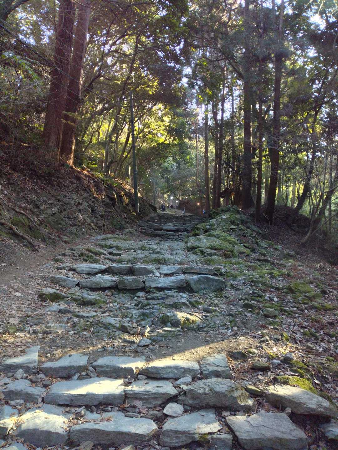 高良大社-吉見岳 周回コースの写真