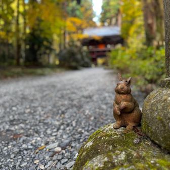 ぐり𖤣𖥧𖥣｡𖥧𖧧