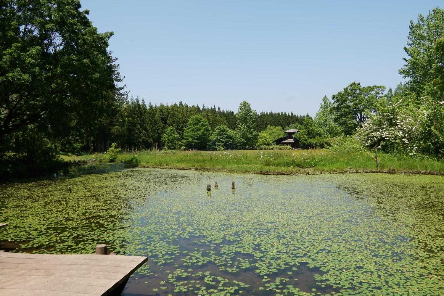 吉峰の池

のどかですねぇ_(:3 」∠)_　

ワイド端(広角側)18mm(換算で約27mm)で撮影。