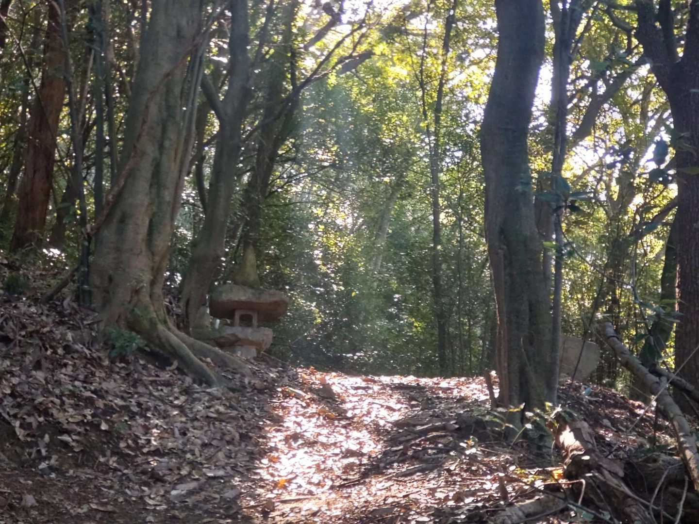 上佐山神社