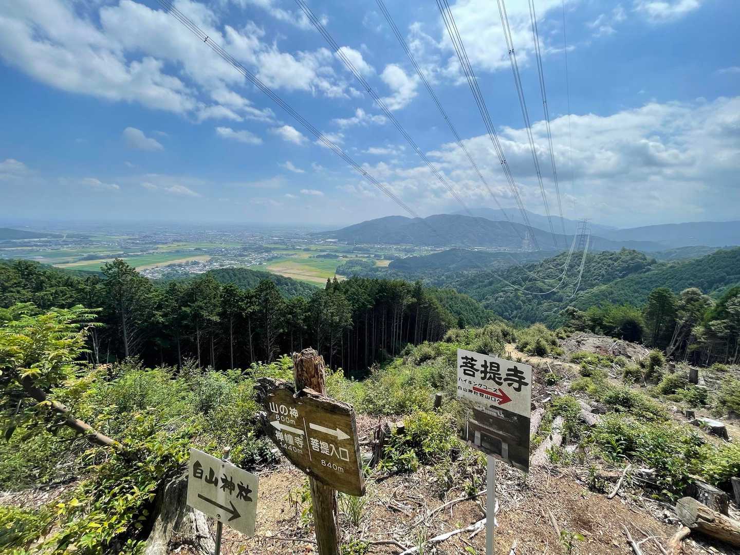 けど登ったら、良い景色🙆
