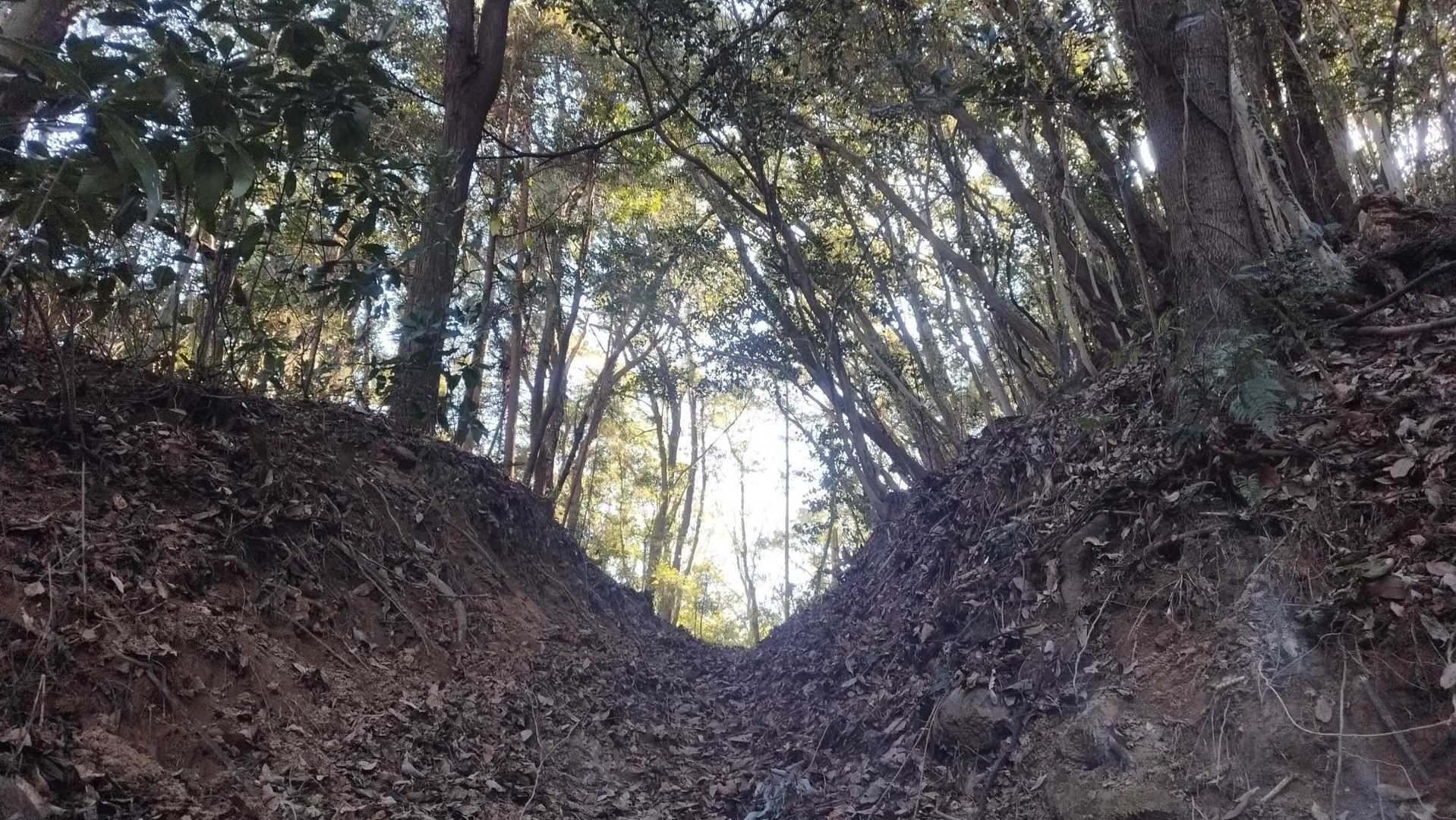 石城山 往復コースの写真