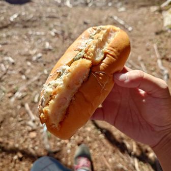 エビカツコッペを食べます。