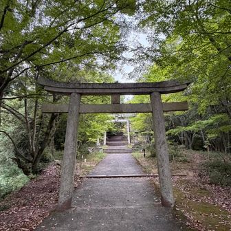 八幡神社⛩