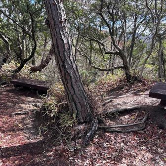 ベンチのところでUターン