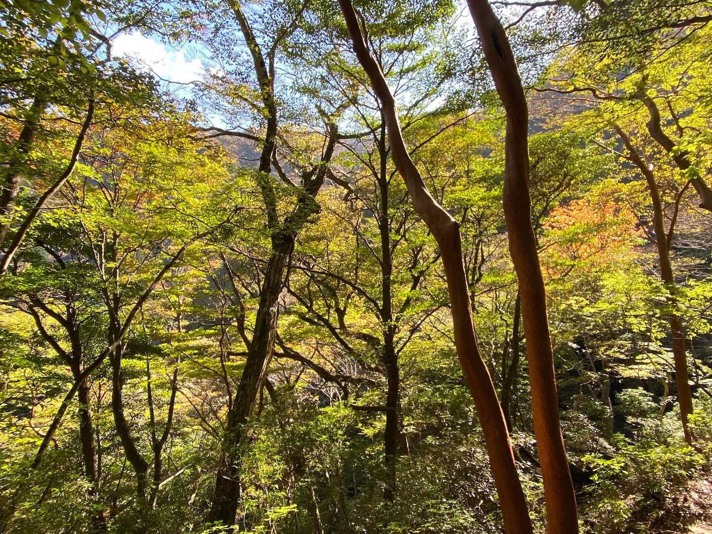 振り返ると素敵な景色。