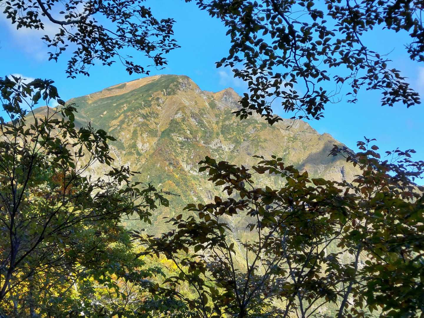 晴天🌞