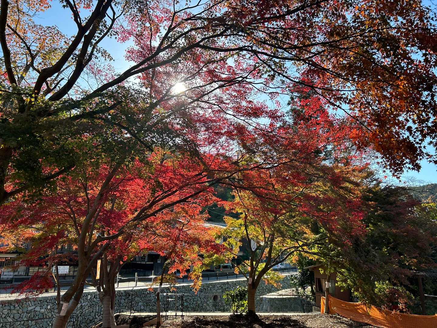 駅前の紅葉
