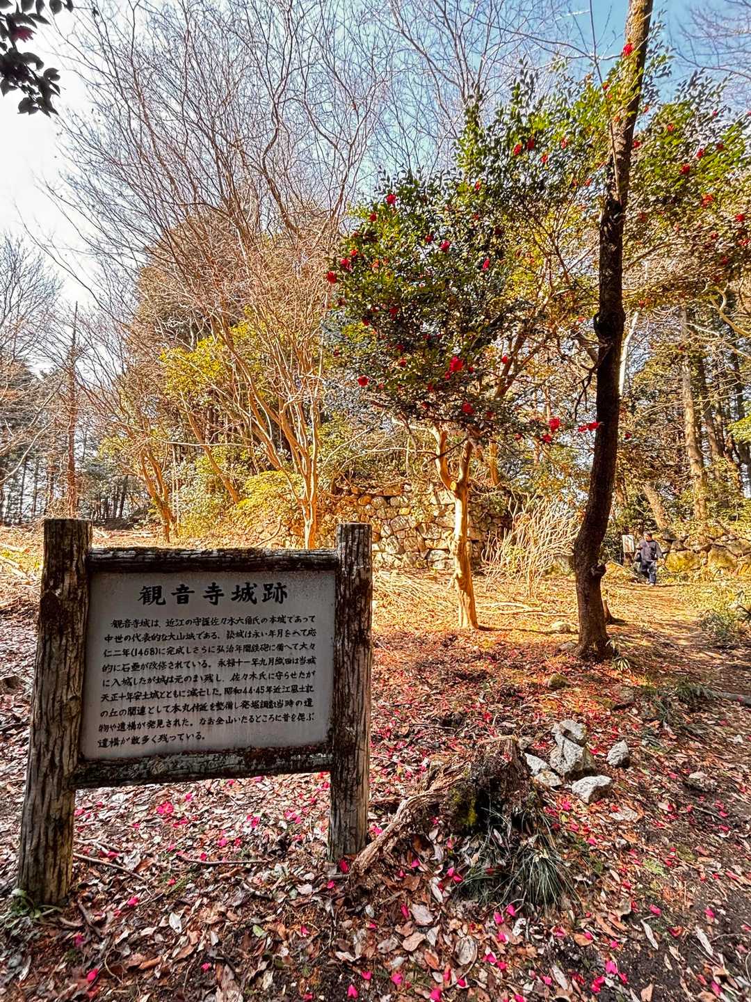 本堂で入山料を1人300円払い山へ。

ここは、観音寺城本丸跡地！！
結構、猪が掘り返しまくってて、そこらじゅうボコボコ。ダニとか注意したい⚠️