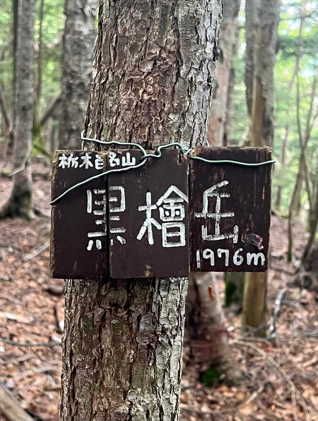 千手ヶ浜バス停-黒槍岳登山口-黒檜岳 往復コースの写真