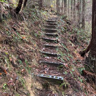 頂上まで続く急登