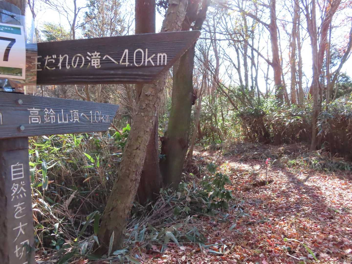 高鈴山と玉だれの滝の分岐
高鈴山へ向かいます。