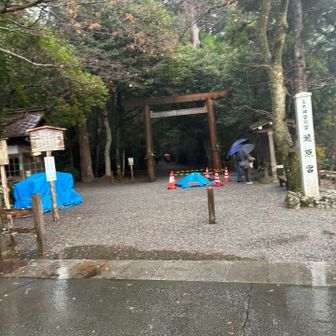 旅館のご主人に教えてもらった瀧原神宮
この鳥居から本殿まで、まあまあ距離があります