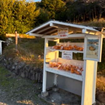 ボケボケ
再起動するの忘れてた