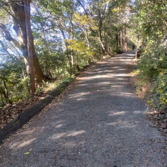 　明日は山伏を考えてましたがご破産。雪でしょうね。