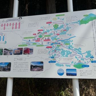 本日は　看板のピンクコースへ進みます。