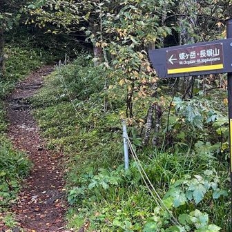徳沢登山口着いた。
ここからすでに都会な気配…
人がめーっちゃいる💦