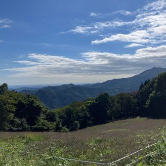 久しぶりに爽やかな天気☀️