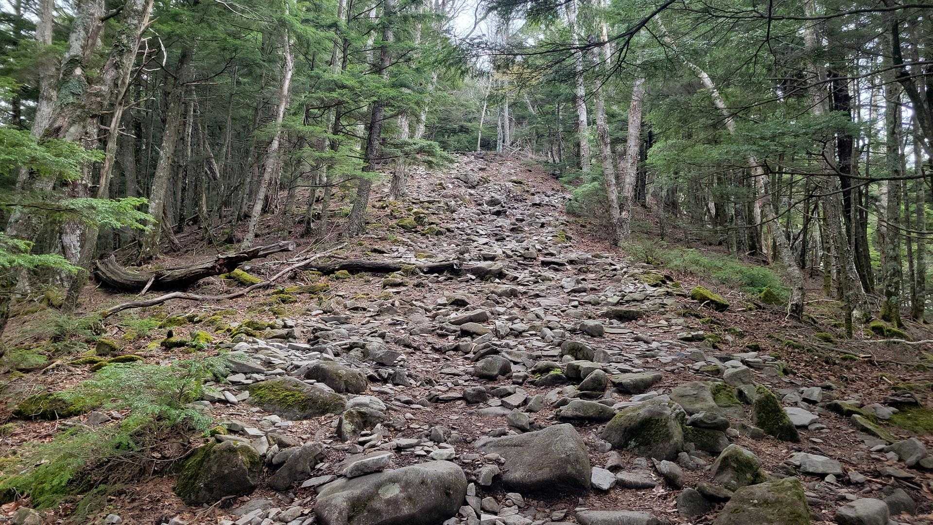 15時までと知らないまま、金峰山に向かって歩き出す。体調ゲロ悪⤵️