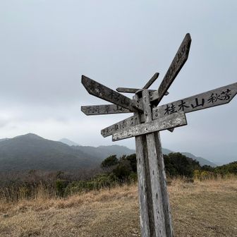 情報てんこもり 山頂標識