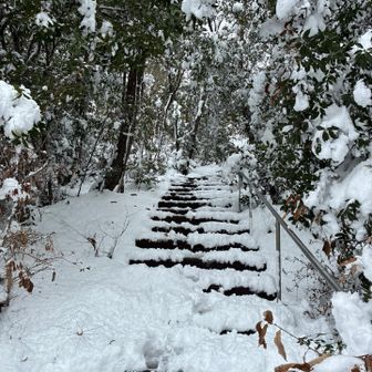 転ばないように普段よりゆっくり登りました。