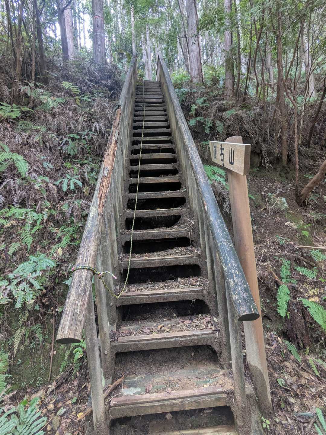 階段も急やし狭っ😨